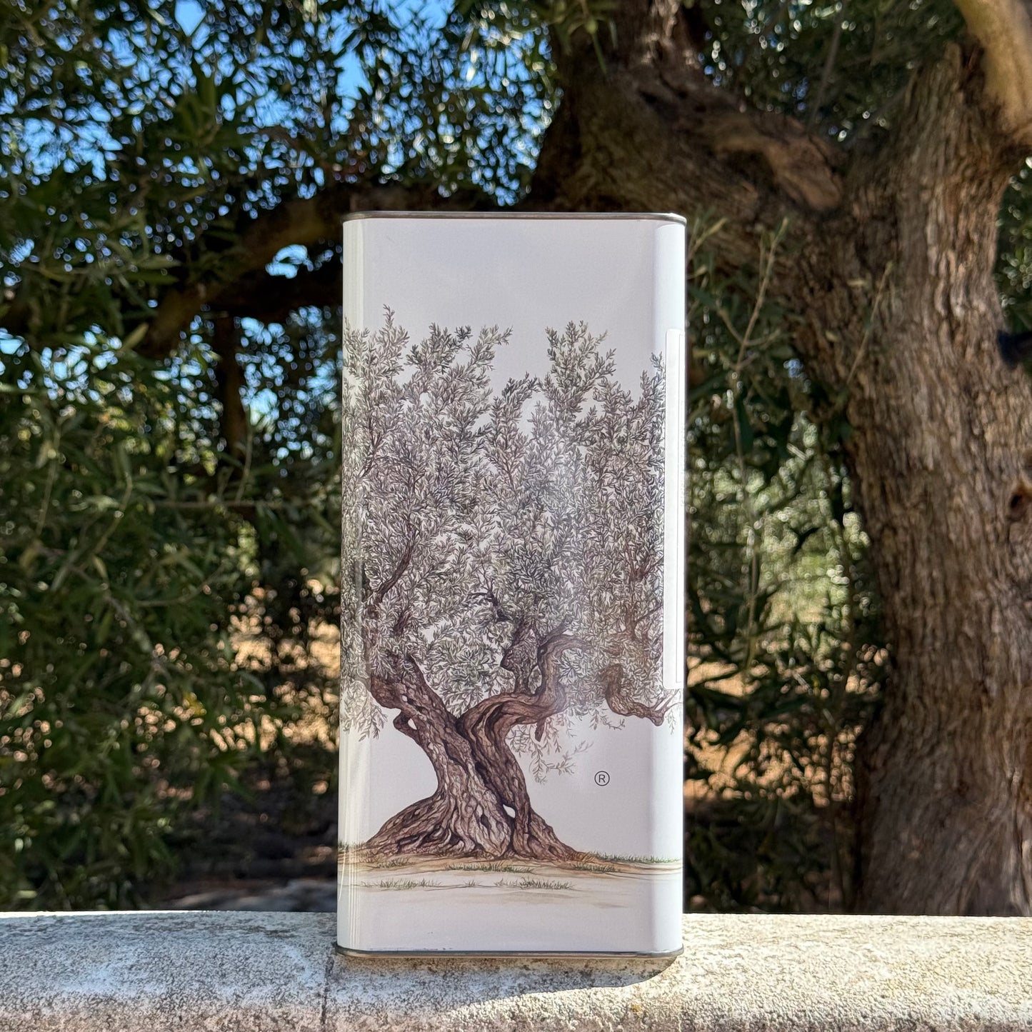 L'Olio di Vincenzo